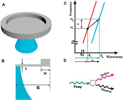 Tailorable Stimulated Brillouin Scattering Laser Based on Silicon Ring Waveguides